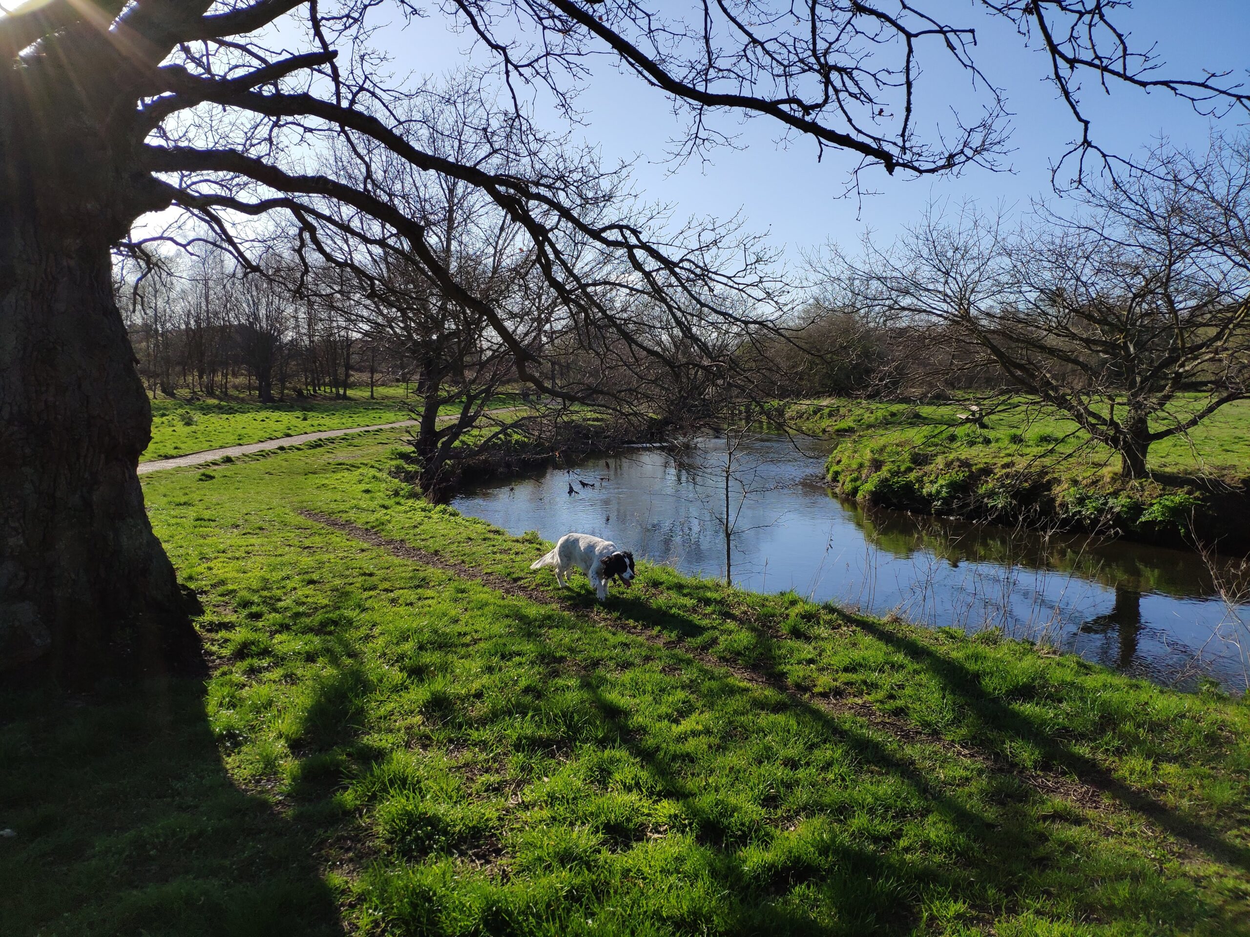 Shepherd Meadows Walks