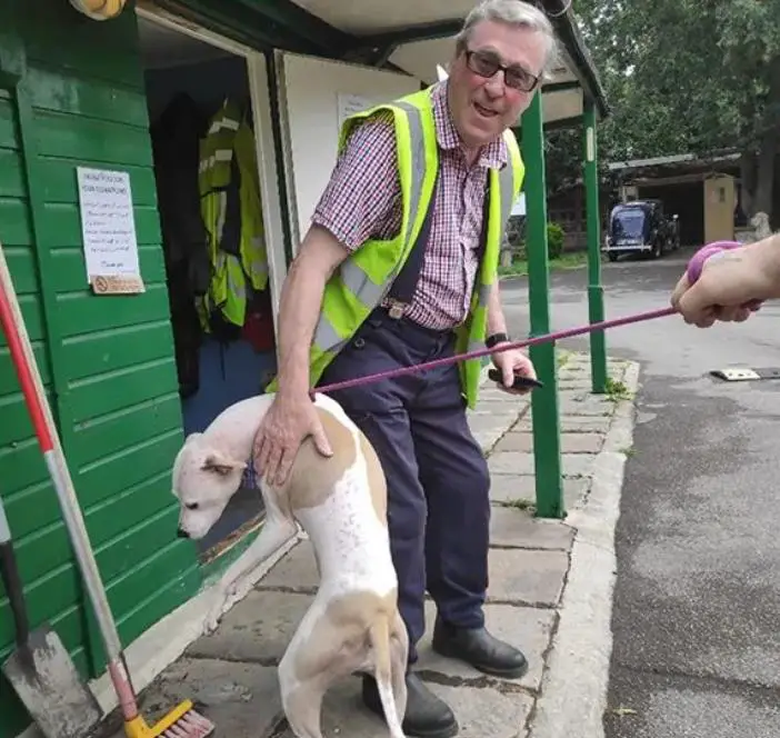 Binfield Dog Rescue Centre To Close After Owner Dies At 78