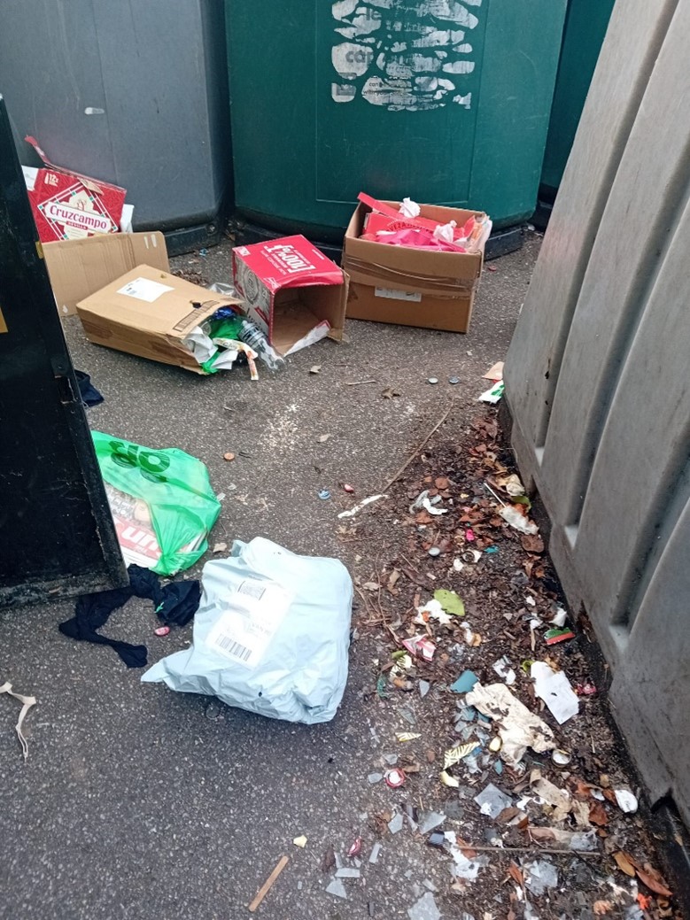 Fly Tippers Dumping Cardboard In The Lidl Car Park In Crowthorne