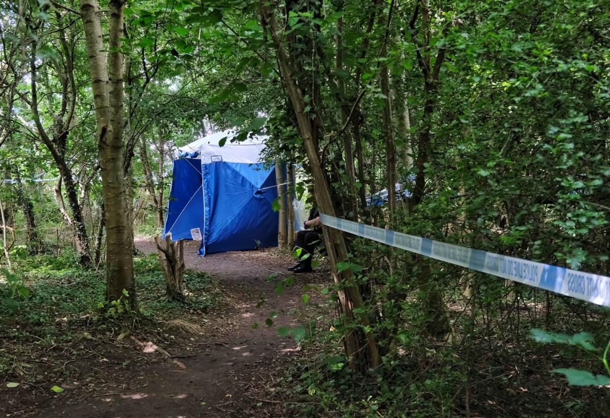 Herschel Park Cordon Still In Place Following 'unexplained Death'