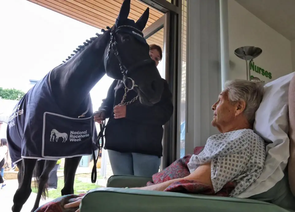 Equine Ambassador Brings Joy To Thames Hospice