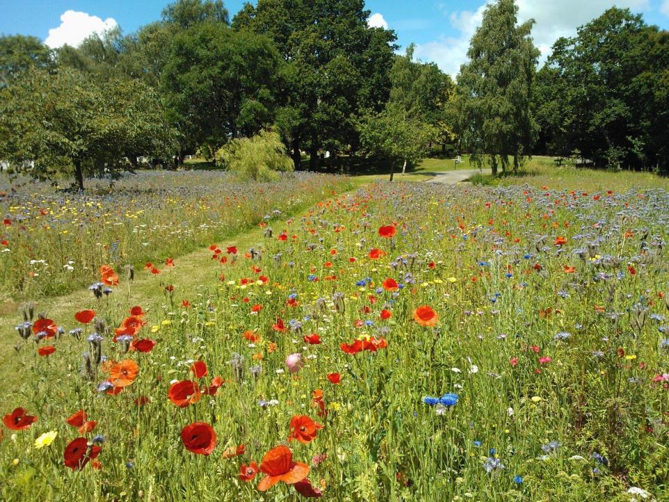 Potential New Community On Berkshire Farmland