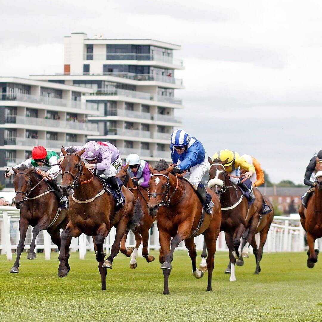 Complete Guide to Newbury Racecourse Events