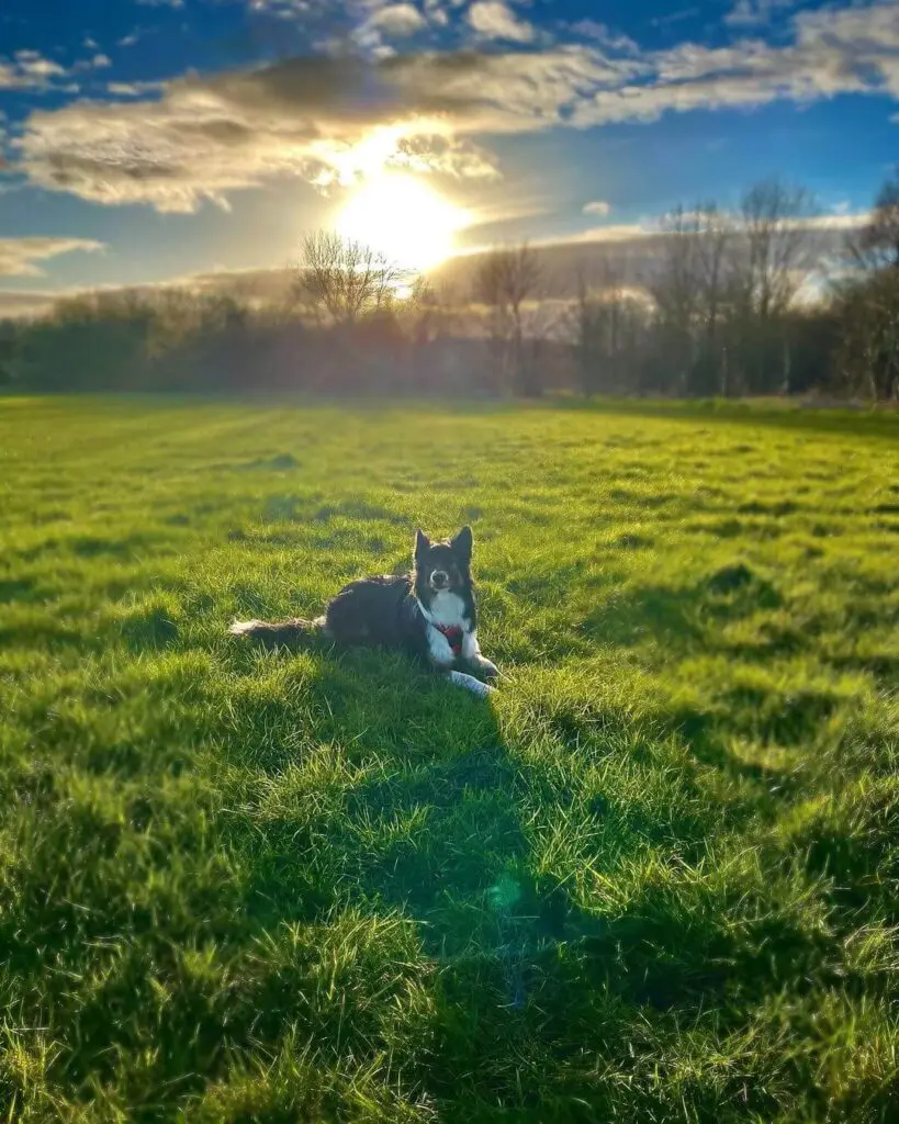 Riverside Gems In Reading