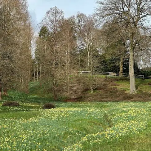 Secret Lakeside Picnic Spots